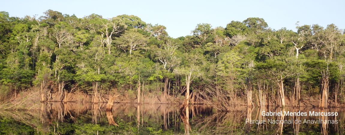 Parque Nacional de Anavilhanas