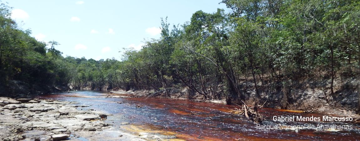 Parque Nacional de Anavilhanas