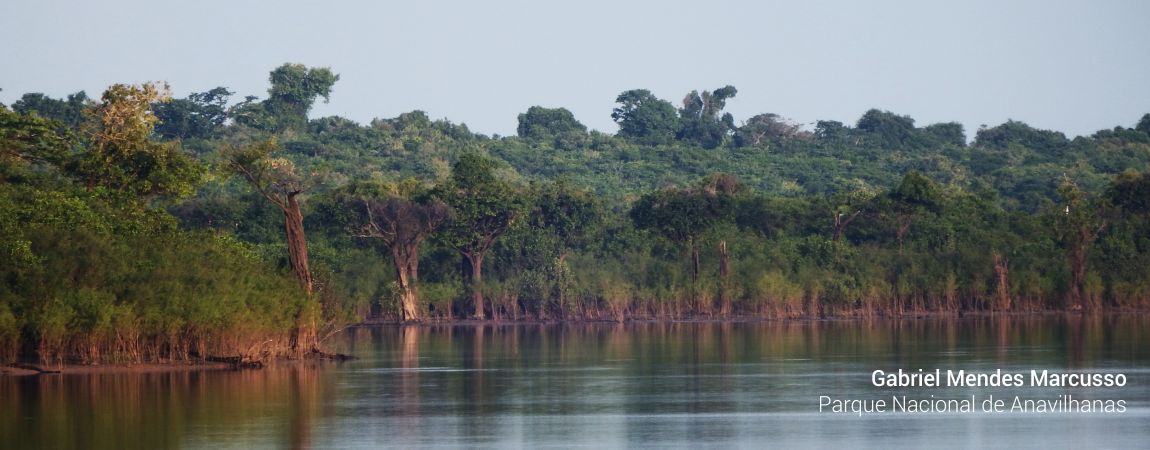 Parque Nacional de Anavilhanas