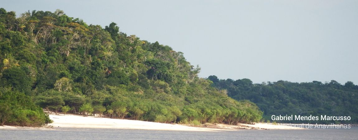 Parque Nacional de Anavilhanas