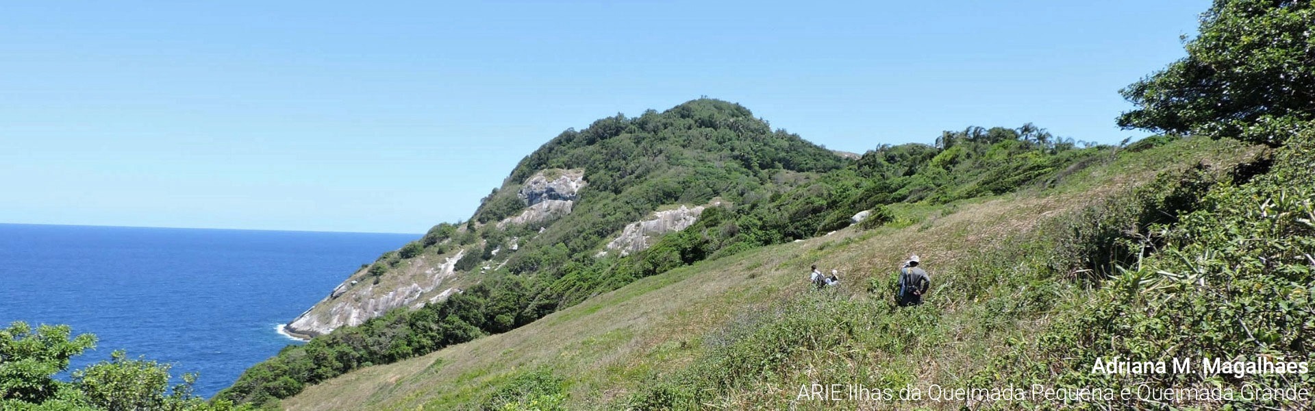 Area de Relevante Interesse Ecologico Ilhas da Queimada Pequena e Queimada Grande_PT