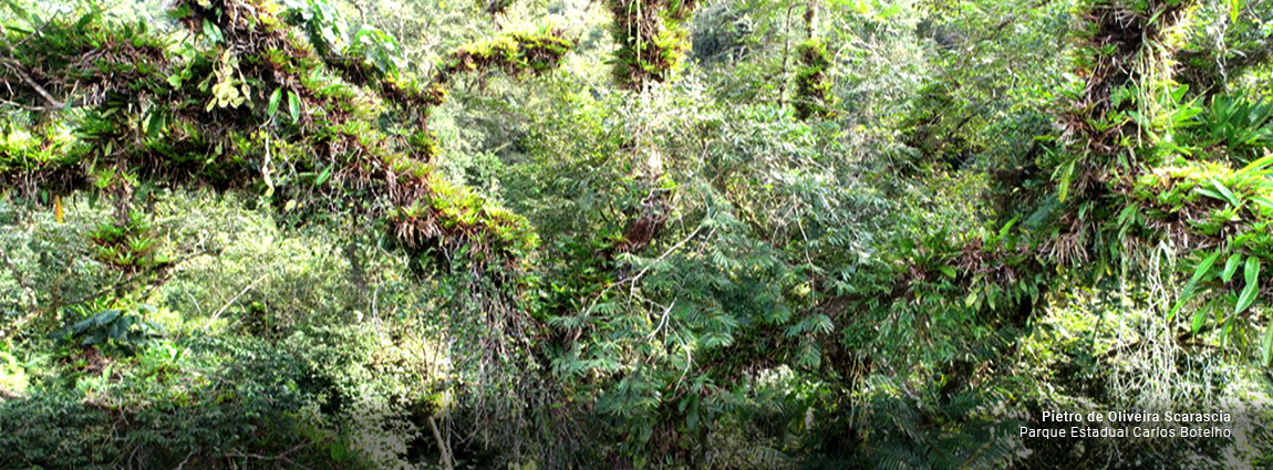 Parque Estadual Carlos Botelho