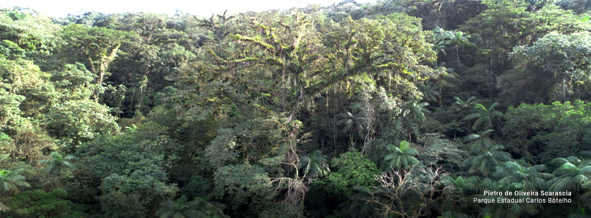 Parque Estadual Carlos Botelho