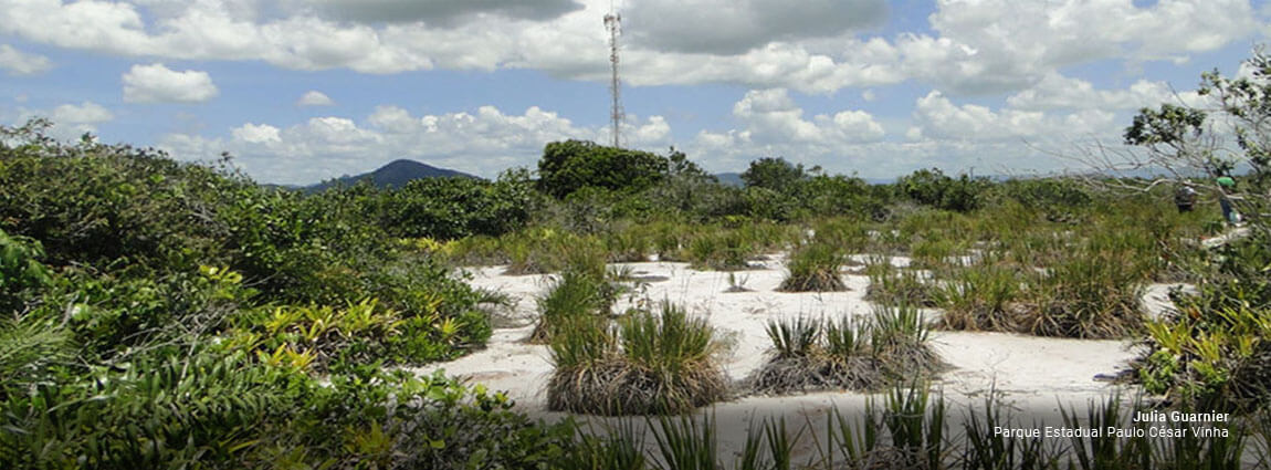 Parque Estadual Paulo César Vinha