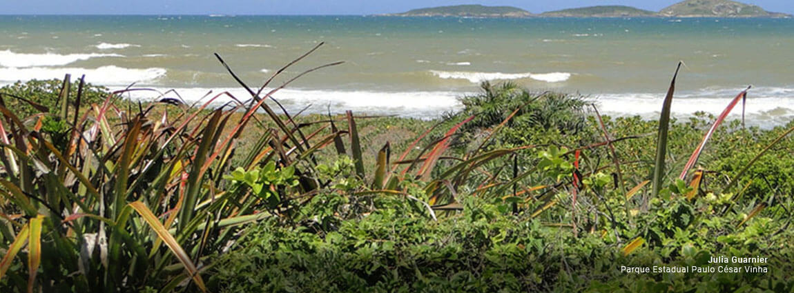 Parque Estadual Paulo César Vinha