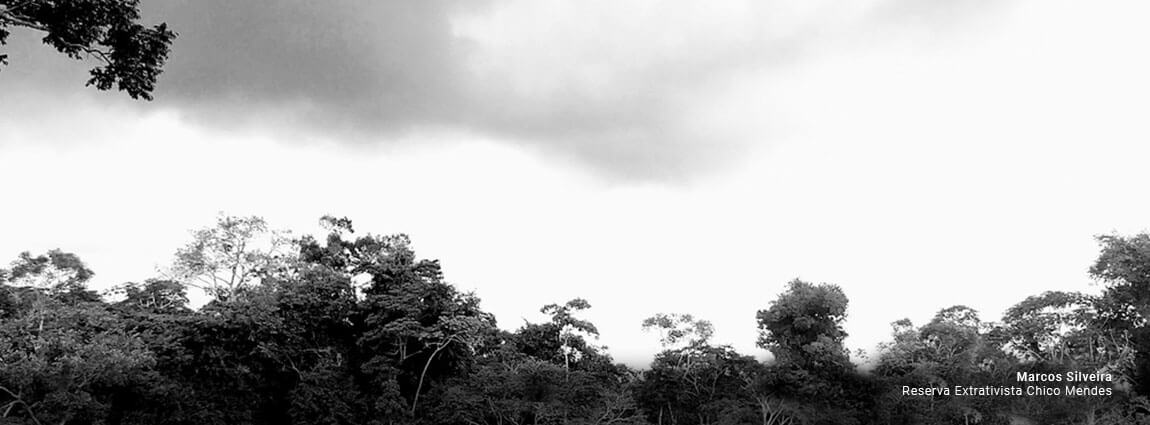 Reserva Extrativista Chico Mendes