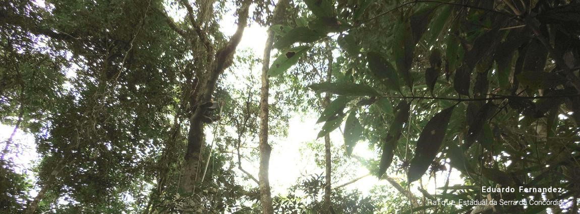 Parque Estadual da Serra da Concórdia