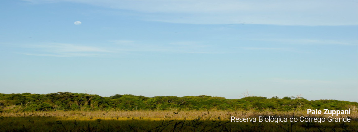 Reserva Biológica do Córrego Grande