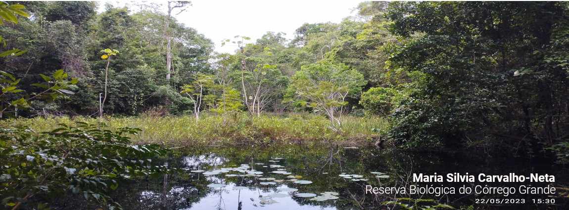 Reserva Biológica do Córrego Grande