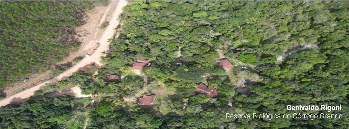 Reserva Biológica do Córrego Grande