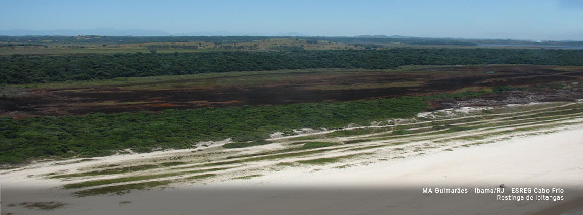 Parque Estadual da Costa do Sol