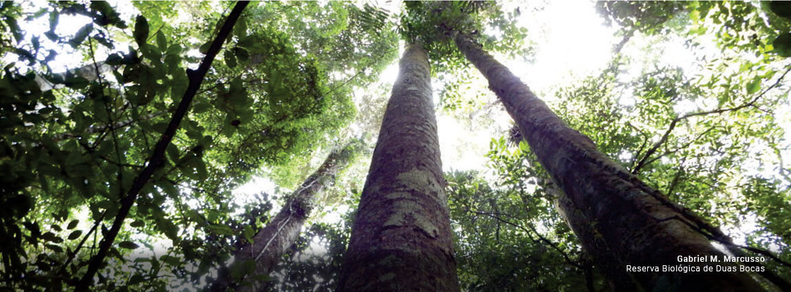 Reserva Biológica de Duas Bocas