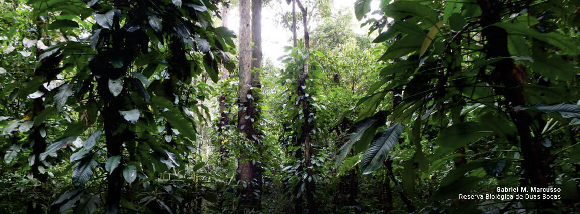 Reserva Biológica de Duas Bocas