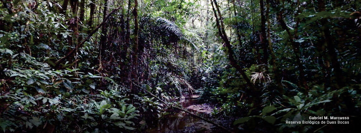 Reserva Biológica de Duas Bocas