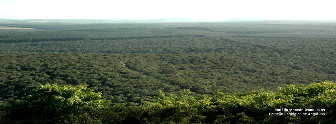 Estação Ecológica de Angatuba
