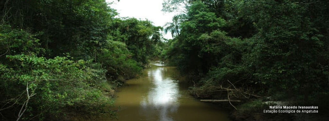 Estação Ecológica de Angatuba