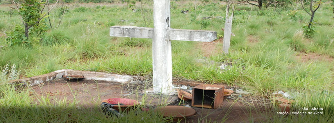 Estação Ecológica de Avaré