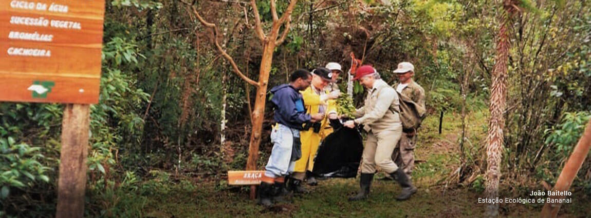 Estação Ecológica de Bananal