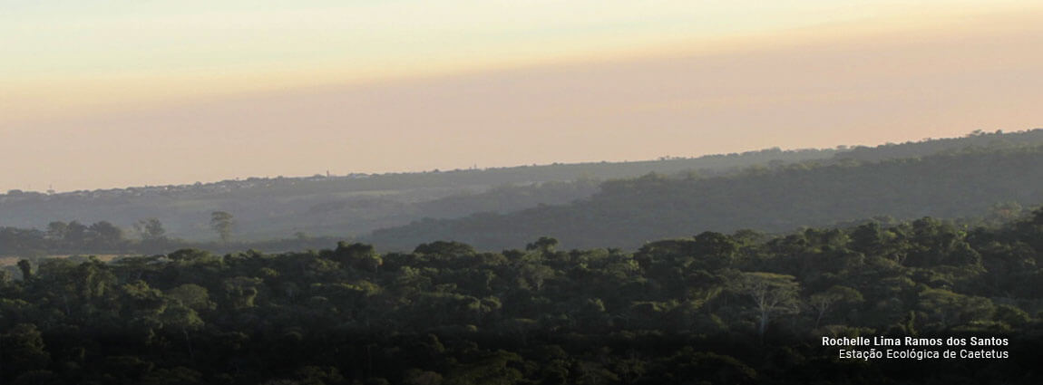 Estação Ecológica dos Caetetus