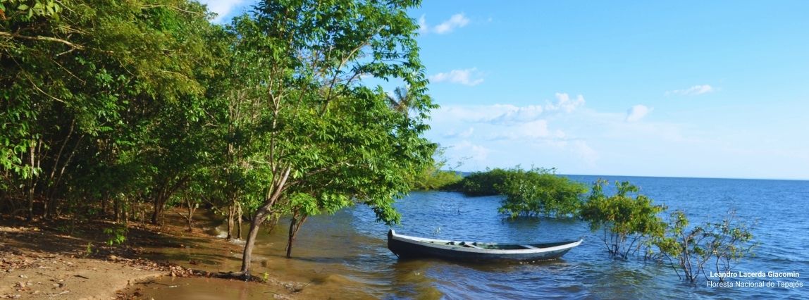 Floresta Nacional do Tapajós