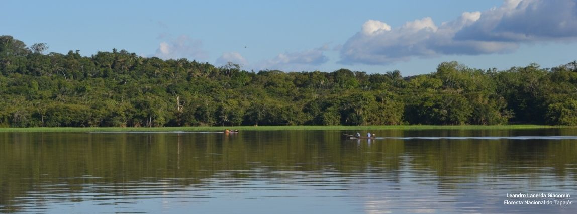 Floresta Nacional do Tapajós