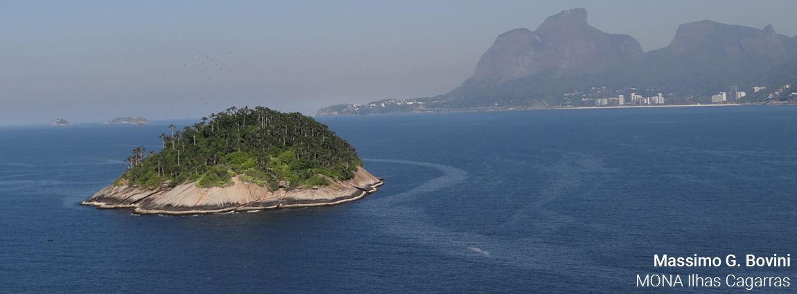 Monumento Natural do Arquipélago das Ilhas Cagarras