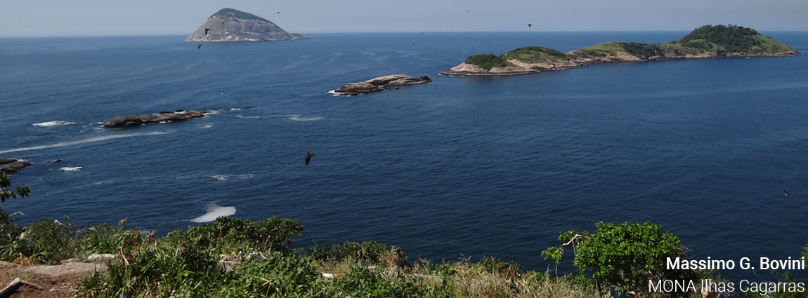 Monumento Natural do Arquipélago das Ilhas Cagarras