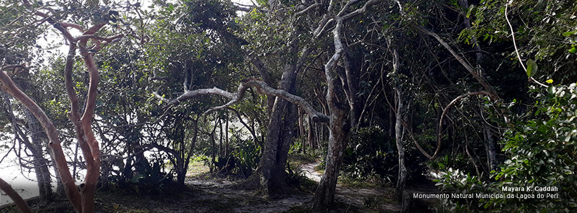 Monumento Natural Municipal da Lagoa do Peri