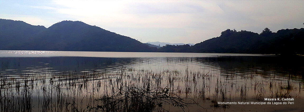 Monumento Natural Municipal da Lagoa do Peri