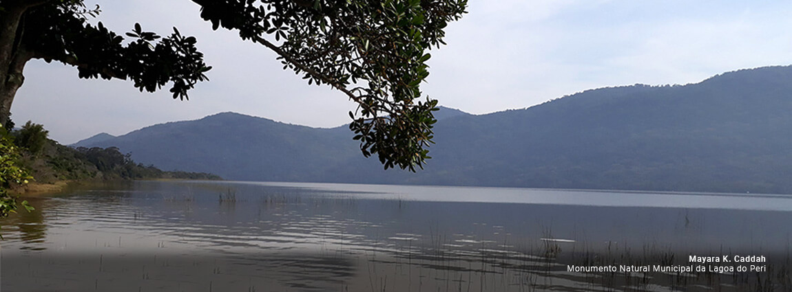 Monumento Natural Municipal da Lagoa do Peri