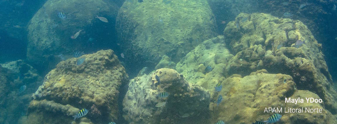 Área de Proteção Ambiental Marinha do Litoral Norte