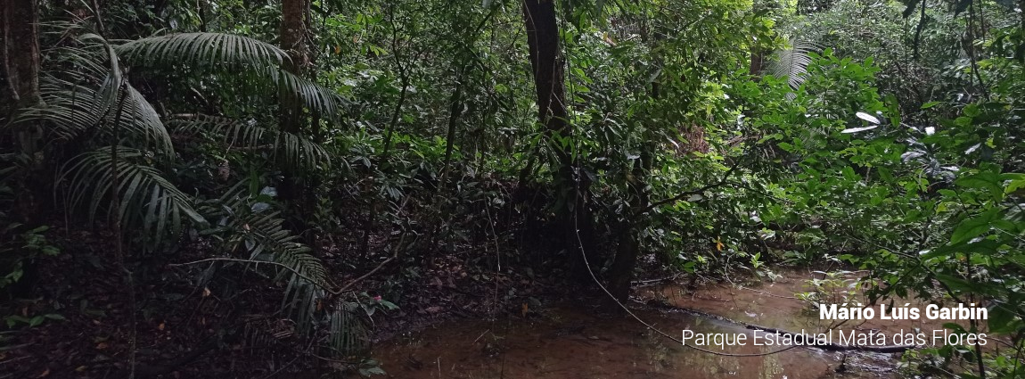 Parque Estadual Mata das Flores