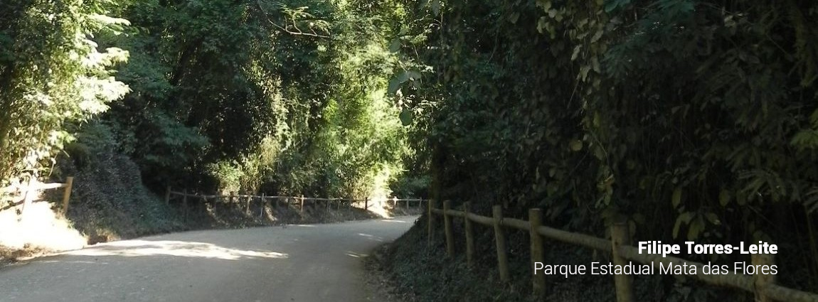 Parque Estadual Mata das Flores