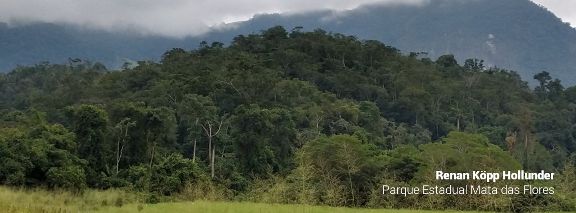 Parque Estadual Mata das Flores