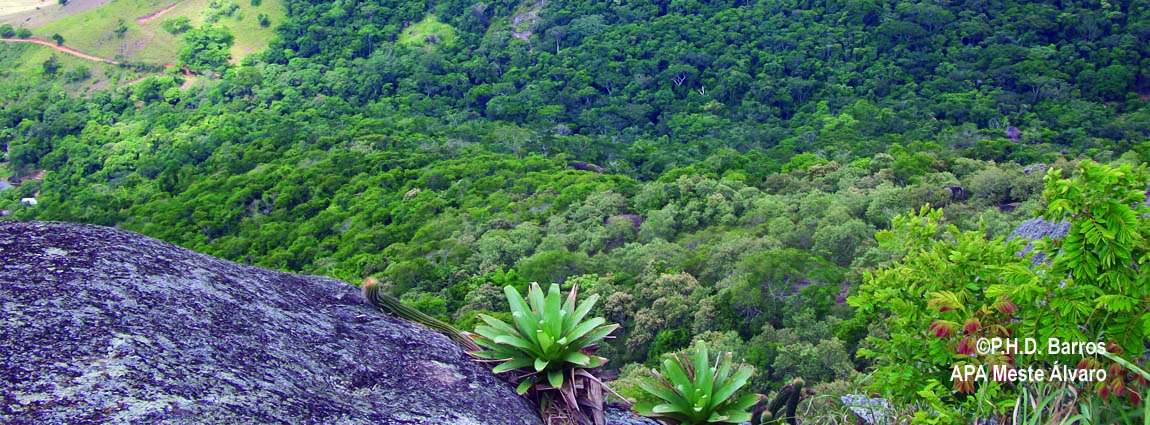 Área de Proteção Ambiental Mestre Álvaro