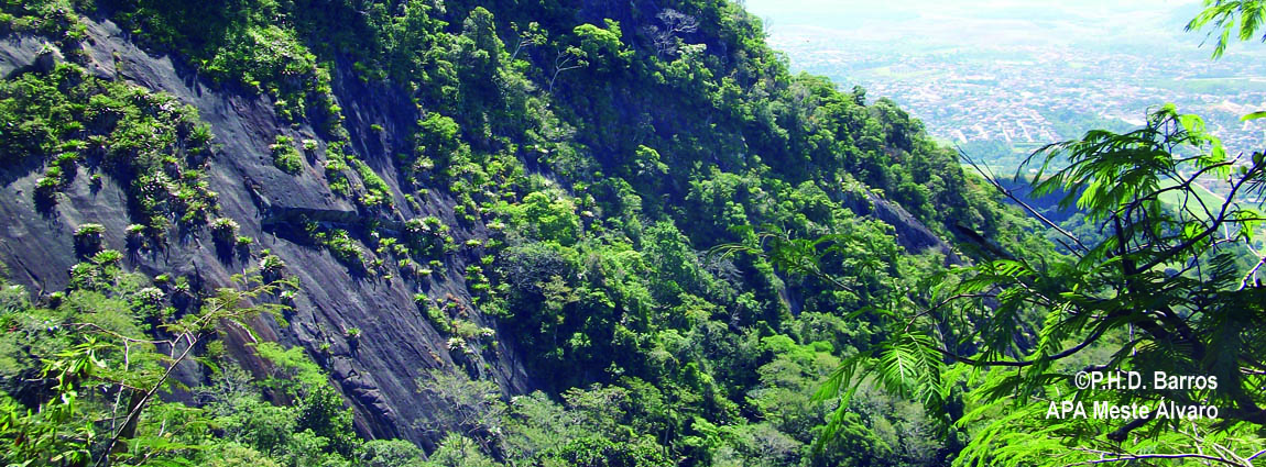 Área de Proteção Ambiental Mestre Álvaro