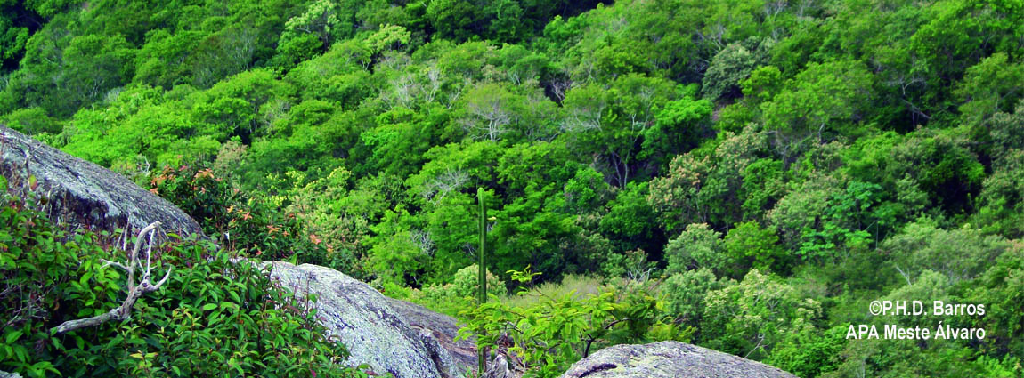Área de Proteção Ambiental Mestre Álvaro