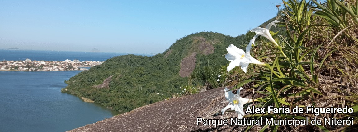 Parque Natural Municipal de Niterói