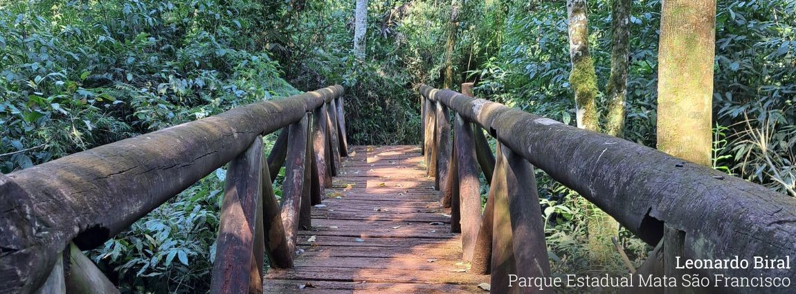 Parque Estadual Mata São Francisco