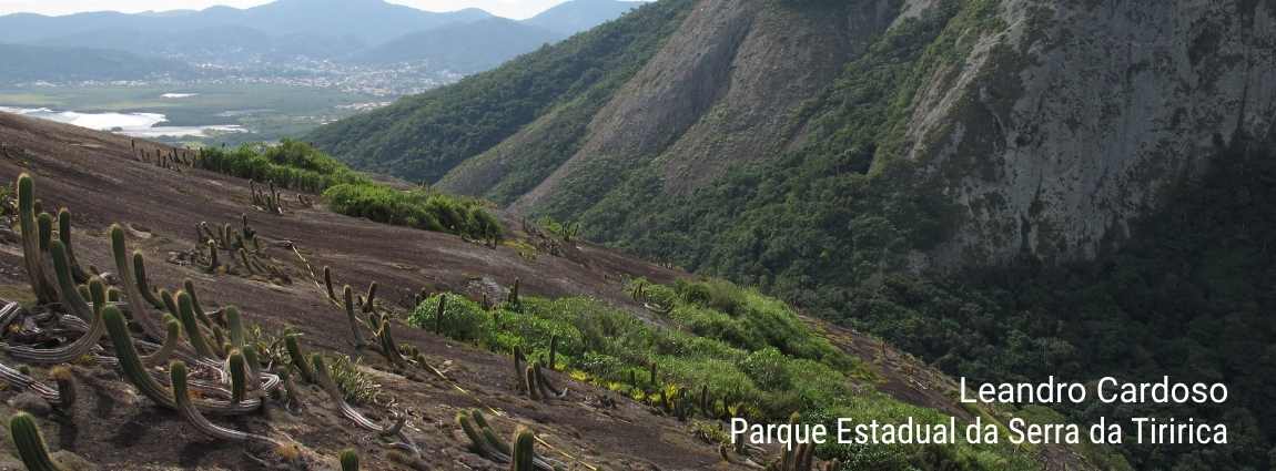 Parque Estadual da Serra da Tiririca