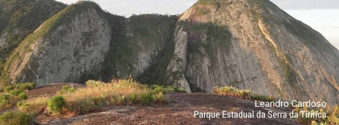 Parque Estadual da Serra da Tiririca
