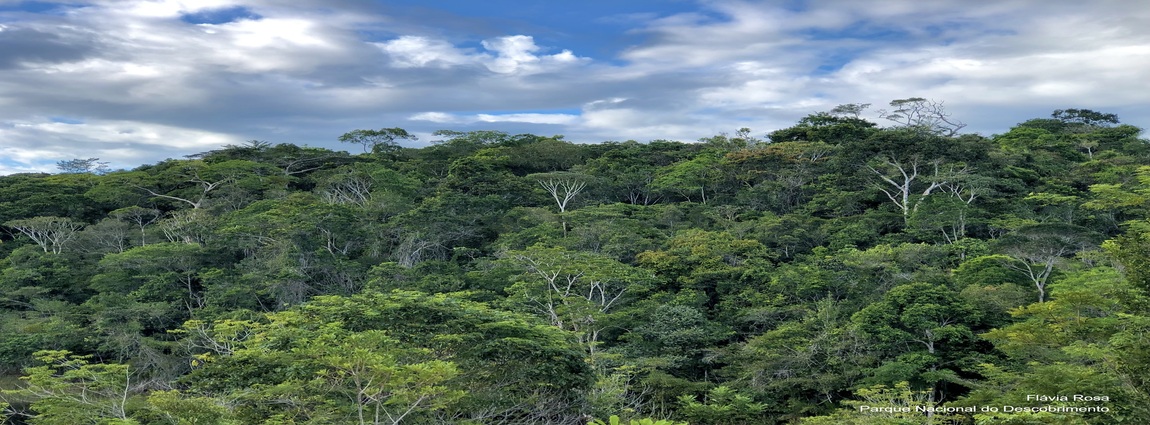 Parque Nacional do Descobrimento