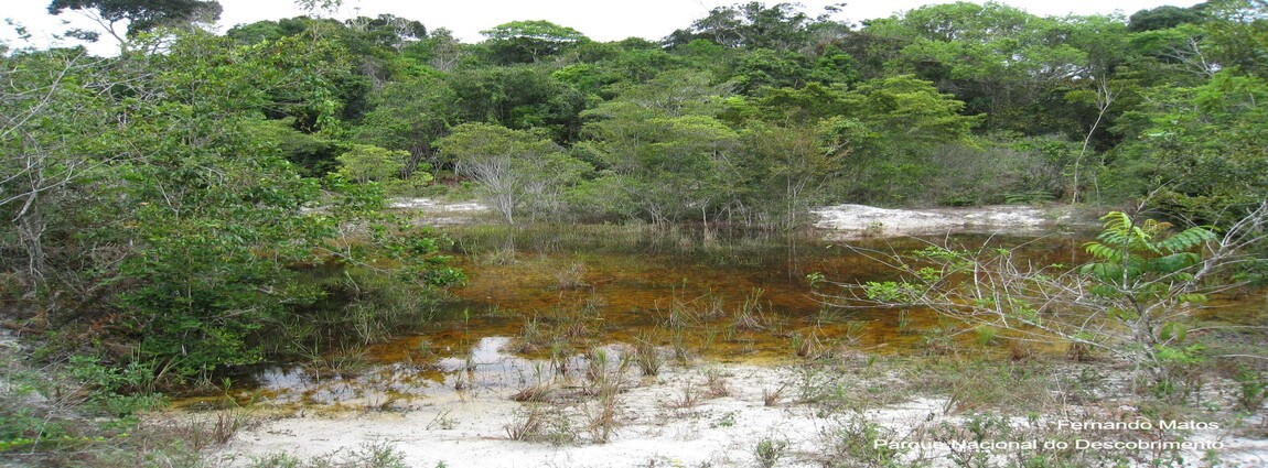 Parque Nacional do Descobrimento