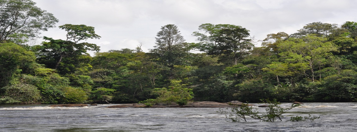 Parque Nacional Montanhas do Tumucumaque