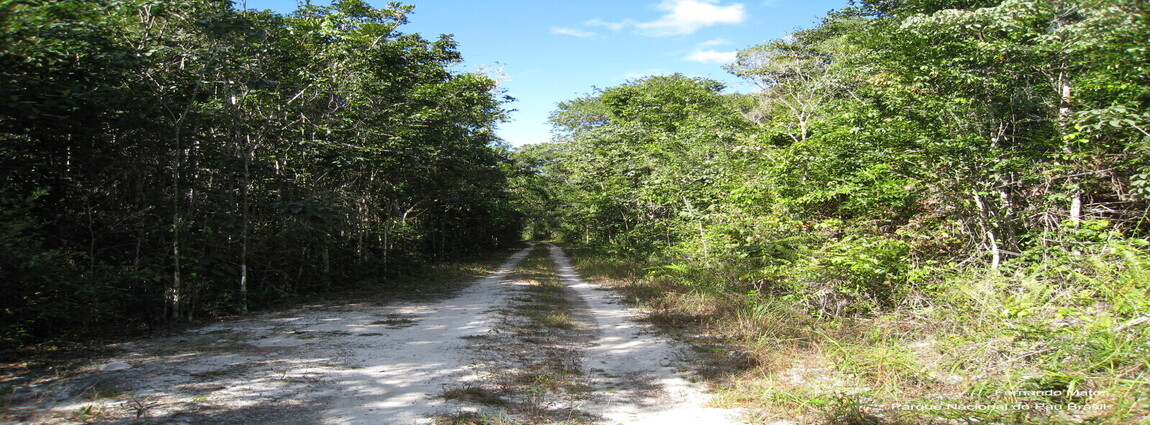 Parque Nacional do Pau Brasil