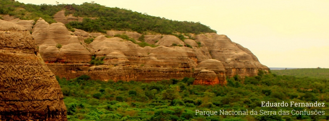 Parque Nacional da Serra das Confusões