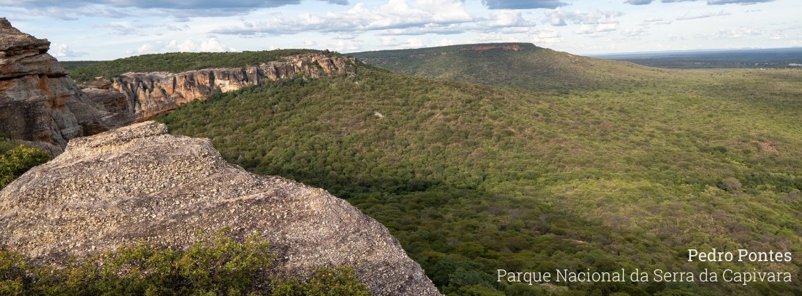 Parque Nacional da Serra da Capivara
