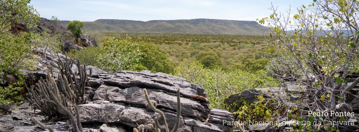 Parque Nacional da Serra da Capivara