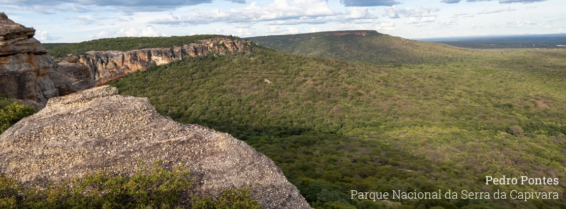 Parque Nacional da Serra da Capivara