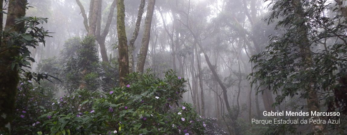 Parque Estadual da Pedra Azul